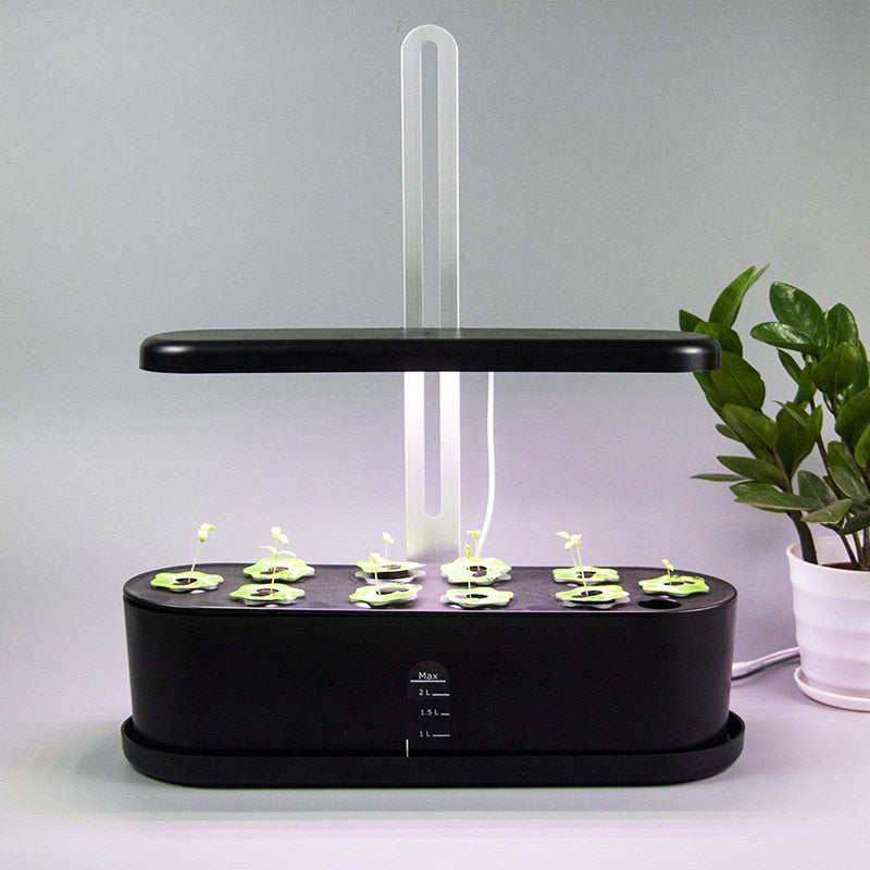 indoor herb planter with grow light Automatic Hydroponics Growing System, Indoor Herb Garden Starter Kit w –  Gladiator Gardens