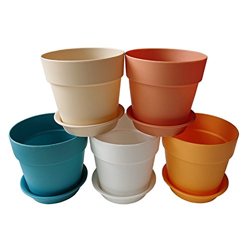 Colorful Plastic Planters