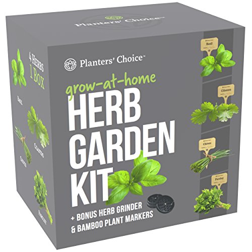 Organic Herb Growing Kit