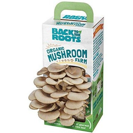 Organic Mushroom Growing Kit