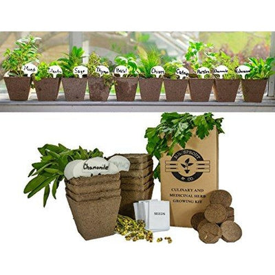 DIY Gardening Kit: Complete Medicinal and Culinary Herb Garden Kit