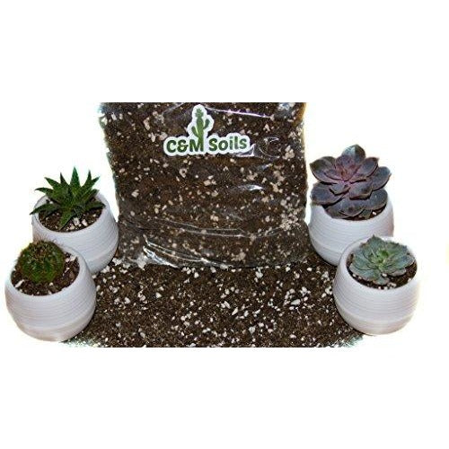 soil composition for succulents Succulent Soil – Gladiator Gardens