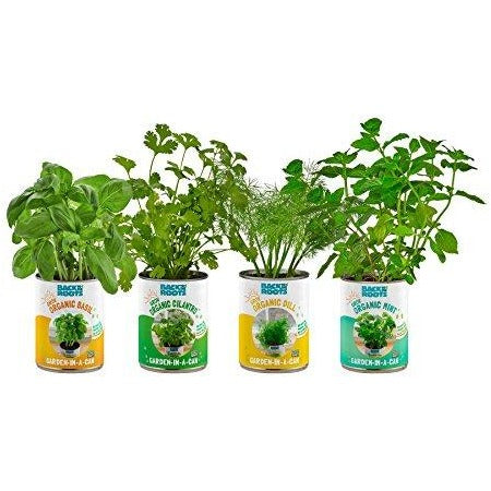 'Back to the Roots' Organic Herb Garden-in-a-Can
