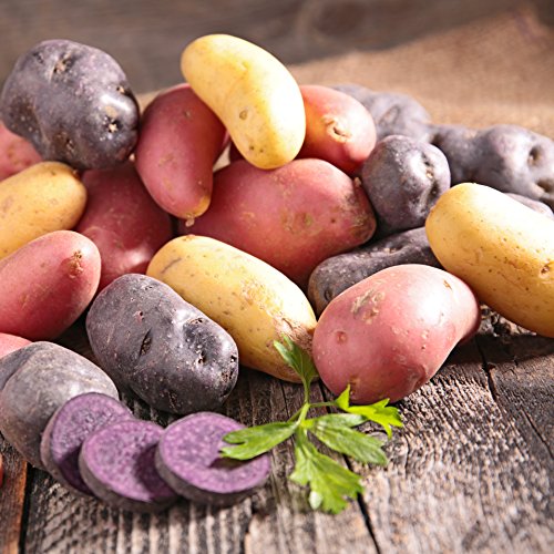 Organic US Grown Potato Medley Mix