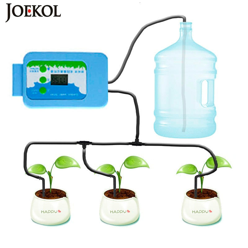 potted sunflower plants for sale Sunflower Plant - Buy Large Potted Bloom main image 0