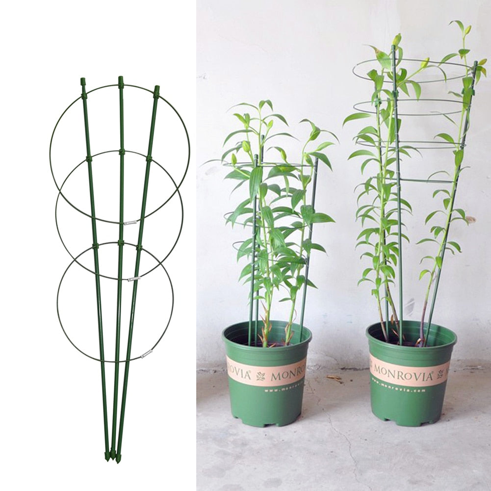 climbing plants pots 45cm/60cm Climbing Vine Rack Plant Potted Support Frame Plastic Coated – Gladiator Gardens