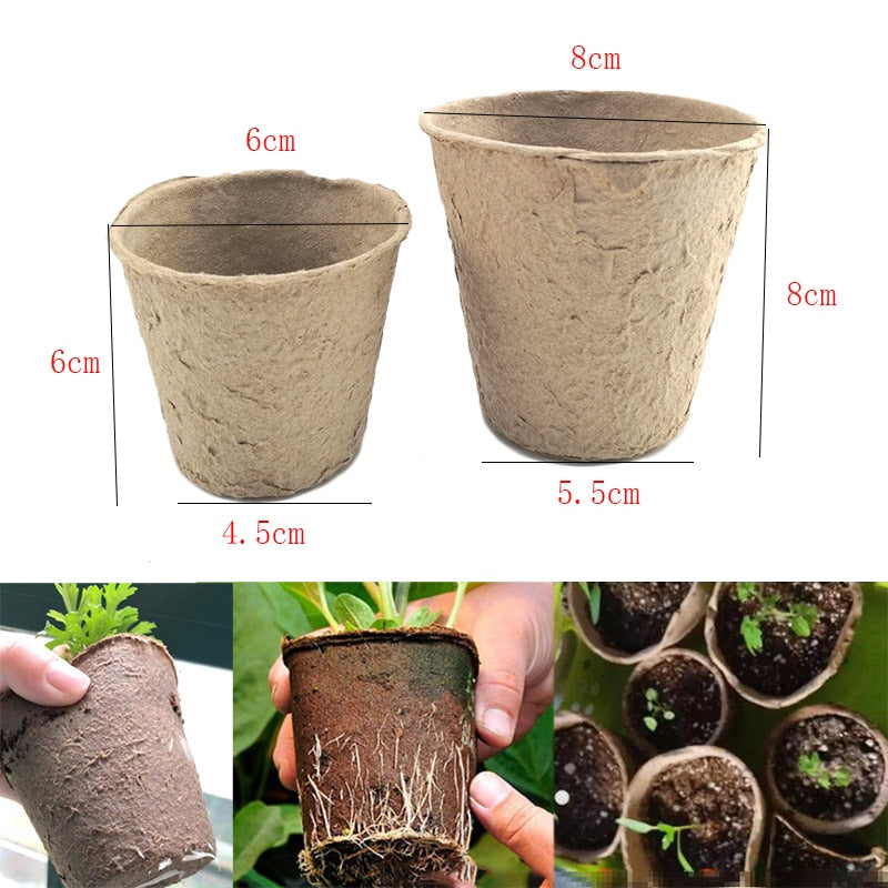 6 cm plant pots 10/20/50Pcs 6/8cm plant grow pot Paper Nursery Cup Starters garden flo –  Gladiator Gardens