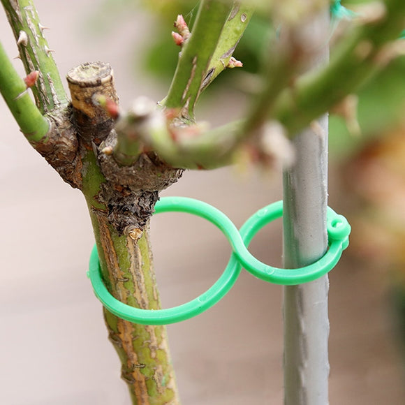 50/100 Pcs Garden Plant Holder Trellis Clips For Vine Vegetable New Tomato Growing Upright Garden Plant Stand Tool