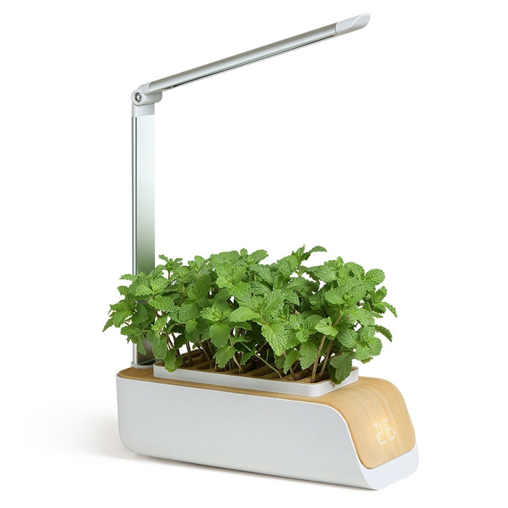 Hydroponics Growing System With LED Grow Light & Trellis - Indoor Garden For Tomatoes, Peppers, Cucumbers