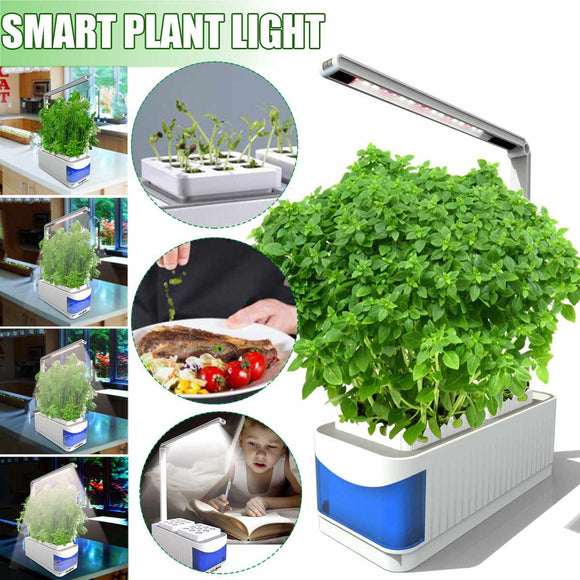 Smart Automatic Hydroponics Growing System Soilless Cultivation Of Small Flower Pots with Led Grow Light for Home Kitchen