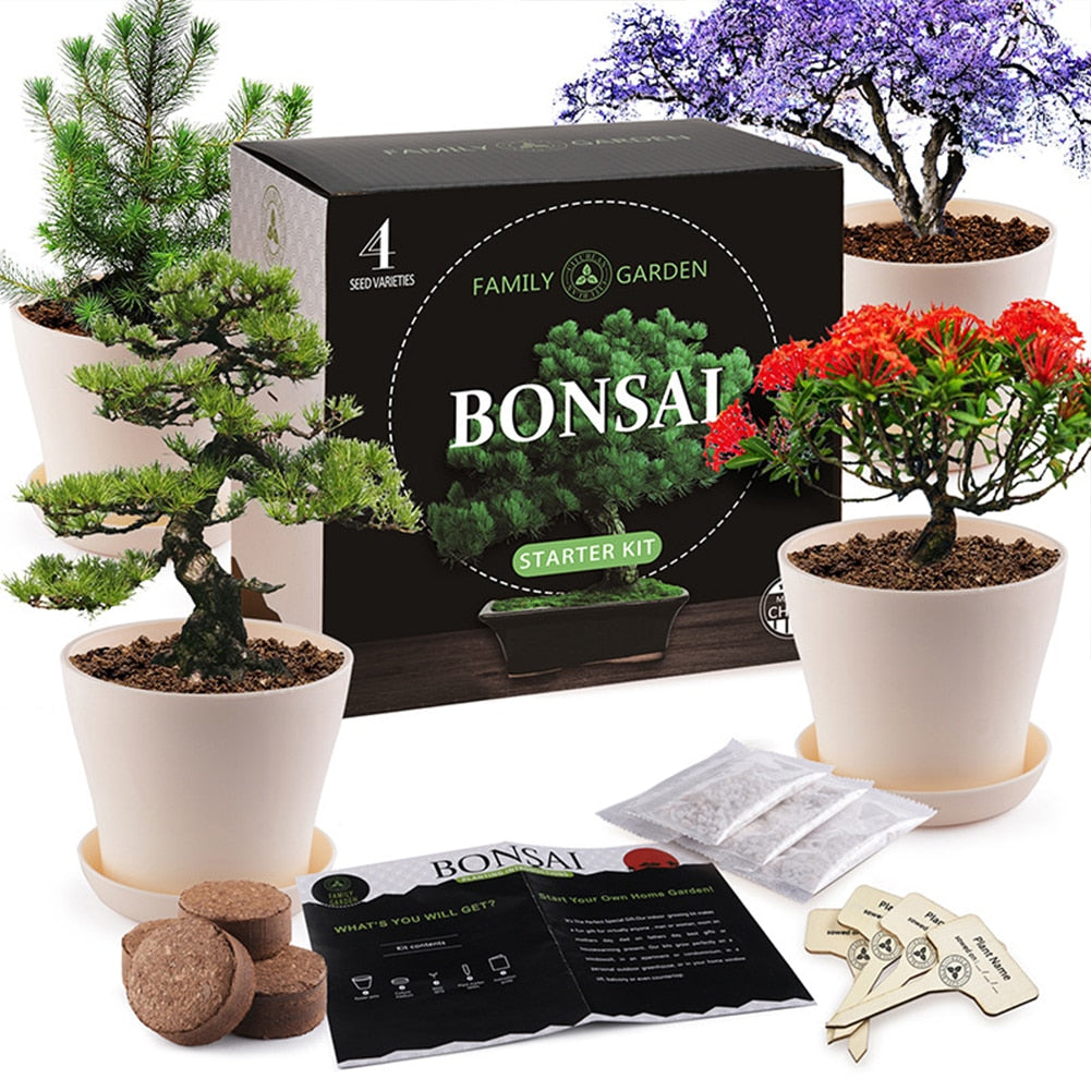 bonsai tree beginner kit Bonsai DIY Starter Tree Kit – Gladiator Gardens