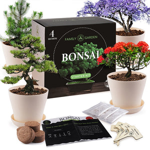 Bonsai DIY Starter Tree Kit