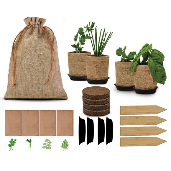 Herb Garden Kit Indoor Garden Planting Set w/4 Herb Seeds DIY Veggie Growing Kit